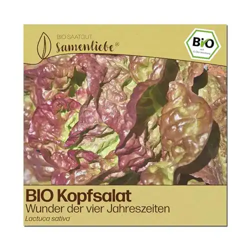 Kopfsalat-Samen Samenliebe BIO, Wunder der Vier Jahreszeiten