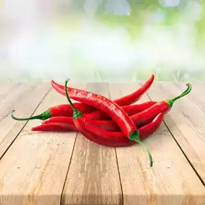 Chili-Samen Prademir Chili Cayenne 25 x Samen aus Portugal
