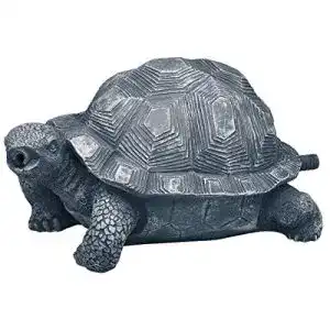 Wasserspeier Oase 36778 Schildkröte, Wasserstrahl