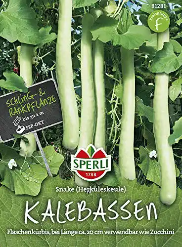 Kalebassen-Samen Sperli Kürbissamen – Herkuleskeule Snake von -Samen