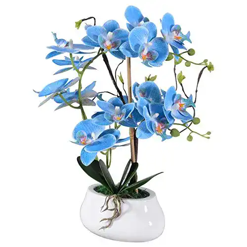 Die beste Künstliche Orchidee VIVILINEN Künstliche Blume im Topf 2026 Test Bestseller Künstliche Orchidee VIVILINEN Künstliche Blume im Topf
