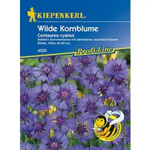 Kornblumen-Samen Kiepenkerl Wilde Kornblume