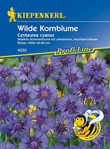 Kornblumen-Samen Kiepenkerl Wilde Kornblume