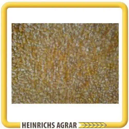 Futtermais Heinrichs Agrar 25 Kg