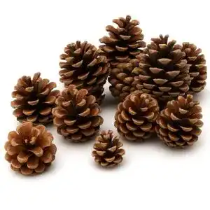 Tannenzapfen NaDeco, Größe ca. 5-6cm, 1kg, ca. 50 STK.