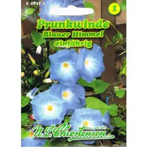 Prunkwinde-Samen Chrestensen Prunkwinde Blauer Himmel