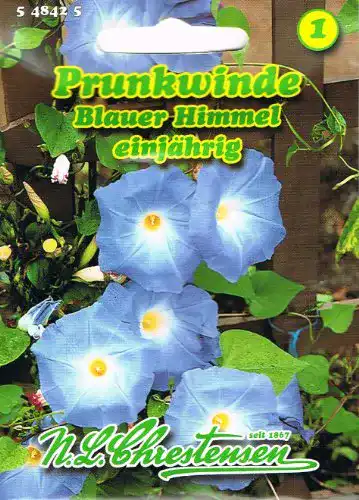 Prunkwinde-Samen Chrestensen Prunkwinde Blauer Himmel