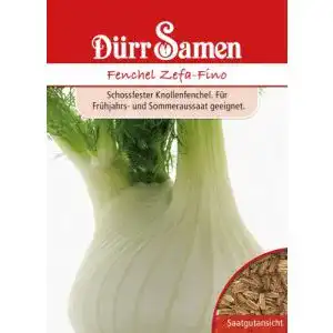Fenchel-Samen Dürr-Samen Dürr Samen 0545 Fenchel Zefa-Fino