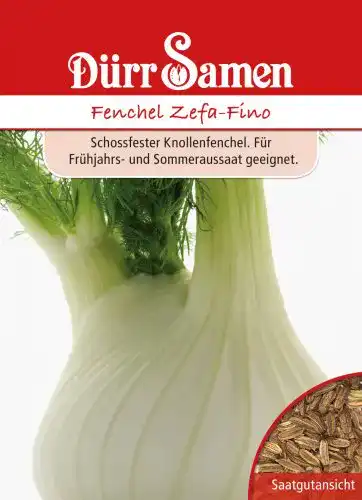 Fenchel-Samen Dürr-Samen Dürr Samen 0545 Fenchel Zefa-Fino