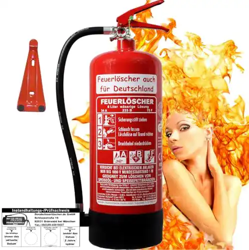 ABF-Feuerlöscher Brandengel 6 l Fettbrand Schaum 34 A, 233 B