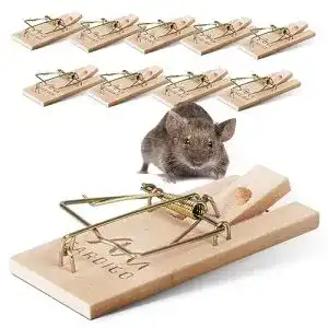Mausefalle Schlagfalle Gardigo Mausefallen Set, 10 Stück