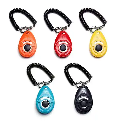 Clicker Toozey Hunde, 5 Stück mit Handschlaufe, Bonus E-Book