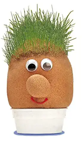 Graskopf Tobar Mister