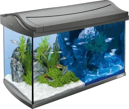 60-Liter-Aquarium Tetra AquaArt LED Aquarium-Komplett-Set