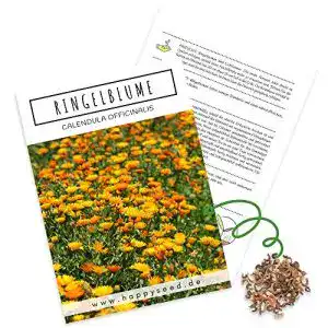 Ringelblumen-Samen HappySeed Ringelblumen Samen