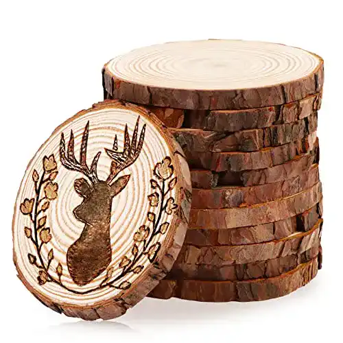 Baumscheibe WOWOSS 12 Stück Runde Holz Scheiben