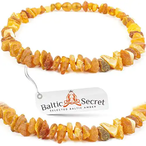 Bernstein-Halsband Hund Baltic Secret Bernsteinkette Hund