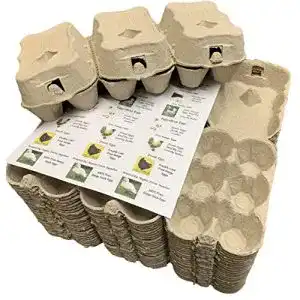Eierkartons ANGLIA FARM SUPPLIES 30 1/2 Dutzend