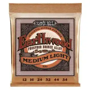 Westerngitarre Saiten Ernie Ball Earthwood Medium Light
