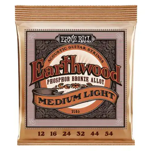 Westerngitarre Saiten Ernie Ball Earthwood Medium Light
