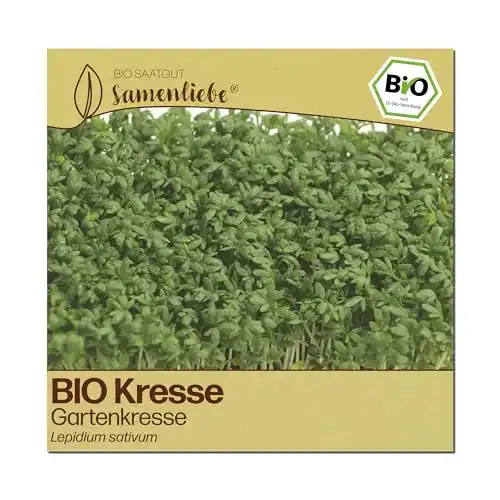 Kressesamen Samenliebe BIO leicht scharfe Gartenkresse
