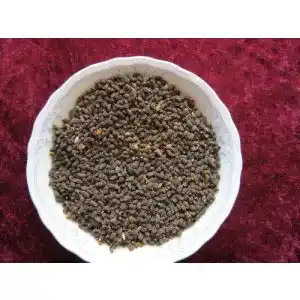 Borretsch-Samen exotic-samen Borretsch, Bienenweide, 200 Samen