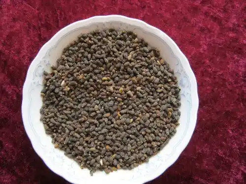 Borretsch-Samen exotic-samen Borretsch, Bienenweide, 200 Samen