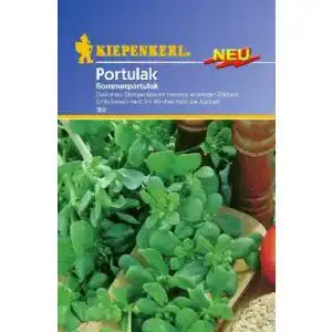 Portulak-Samen Kiepenkerl Portulak Sommerportulak