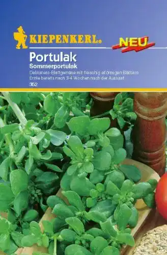 Portulak-Samen Kiepenkerl Portulak Sommerportulak