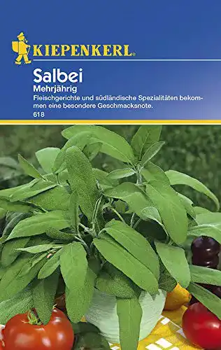 Salbei-Samen Kiepenkerl Salbei Mehrjährig