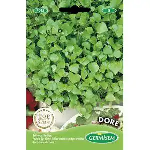 Portulak-Samen Germisem Portulak DORE, mehrfarbig, EC7015