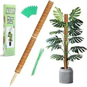 Moosstab Augshy 2 Stück 41CM Pflanzstab Kokos Rankhilfe