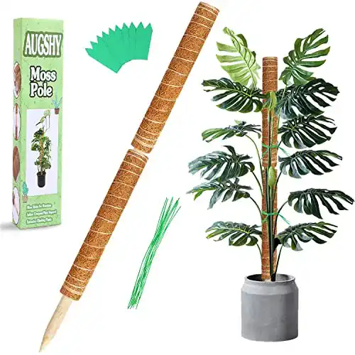 Moosstab Augshy 2 Stück 41CM Pflanzstab Kokos Rankhilfe