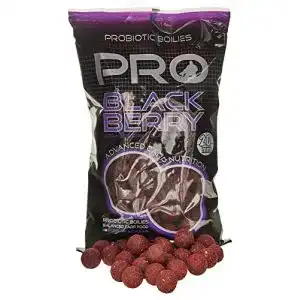 Starbaits-Boilies Starbaits Bouillettes Pro BlackBerry Boilies