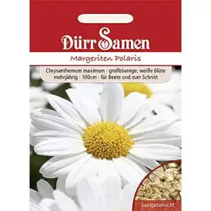 Margeritensamen Dürr-Samen Margeriten Polaris weiß mehrjährig