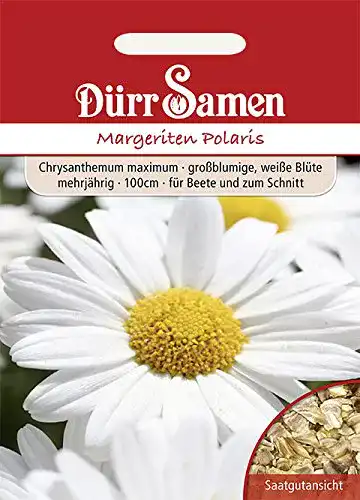 Die beste Margeritensamen Dürr-Samen Margeriten Polaris weiß mehrjährig 2026 Test Bestseller Margeritensamen Dürr-Samen Margeriten Polaris weiß mehrjährig