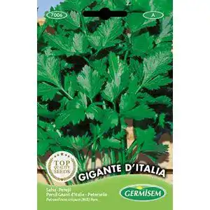 Petersiliensamen Germisem Petersilie GIGANTE D´ITALIA