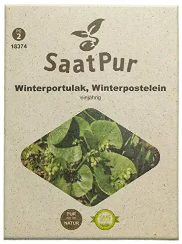 Portulak-Samen SaatPur Winterportulak Samen ca. 1500 Pflanzen