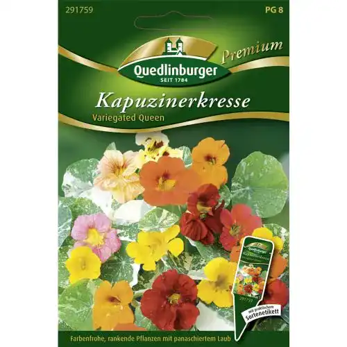 Kapuzinerkresse-Samen Quedlinburger, Variegated Queen