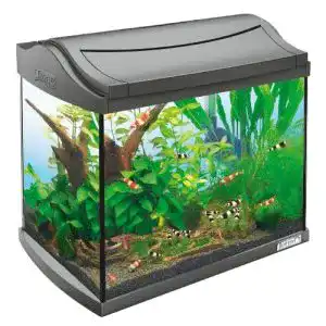 Aquarium Tetra 171855 AquaArt Shrimps -Komplett-Set 20 L