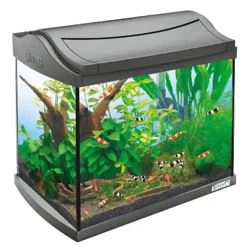 Aquarium Tetra 171855 AquaArt Shrimps -Komplett-Set 20 L