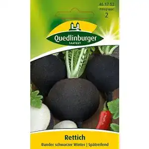 Rettich-Samen Quedlinburger Rettich, Runder schwarzer