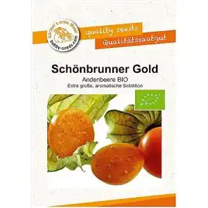 Physalis-Samen Gärtner’s erste Wahl! bobby-seeds.com