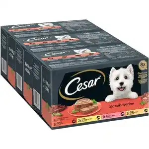 Cesar-Hundefutter Cesar Klassiker Selektion Terrines en Duo