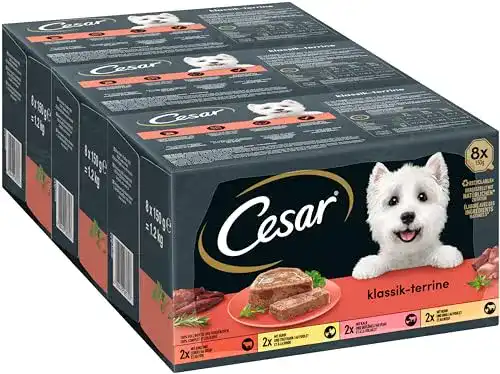 Cesar-Hundefutter Cesar Klassiker Selektion Terrines en Duo