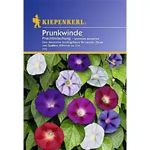 Prunkwinde-Samen Kiepenkerl Prunkwinde, Prachtmischung