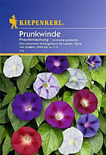 Prunkwinde-Samen Kiepenkerl Prunkwinde, Prachtmischung