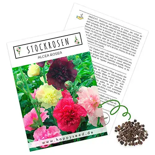 Stockrosen-Samen HappySeed Stockrosen Samen zweijährig