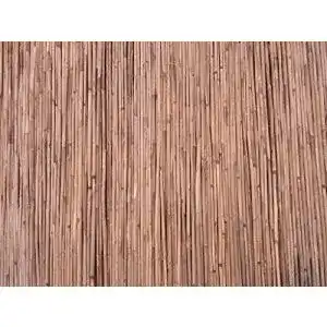 Schilfrohrmatte BIHL Schilfmatte 180 x 600 cm