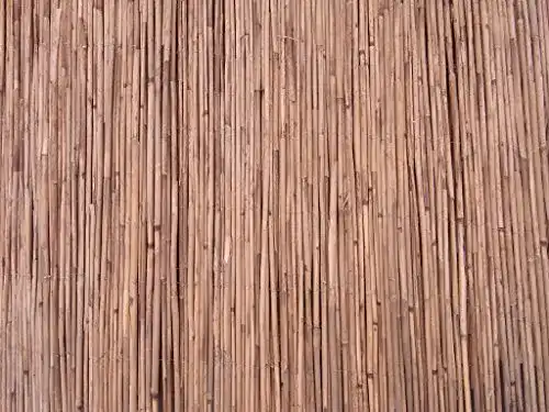 Schilfrohrmatte BIHL Schilfmatte 180 x 600 cm